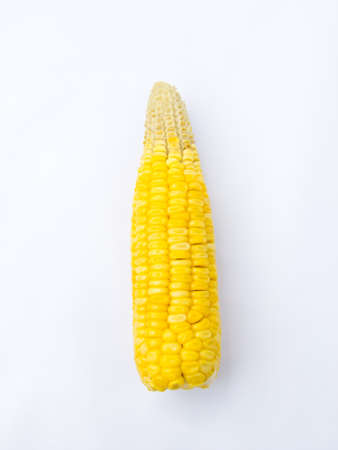 Cornの写真素材