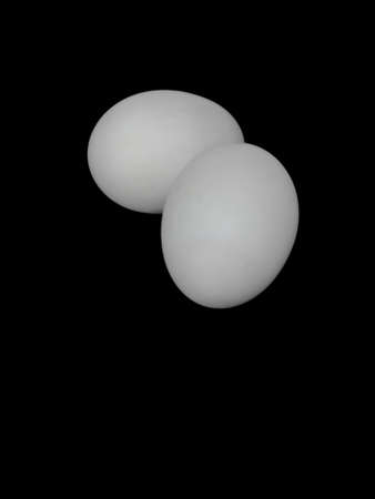 Egg