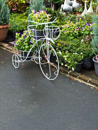Flowerの写真素材
