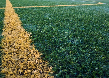 Line on astroturfの写真素材