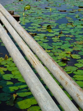 Water tube