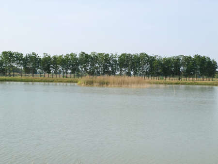 lakeの写真素材