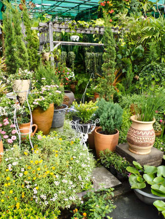 garden park sceneの写真素材