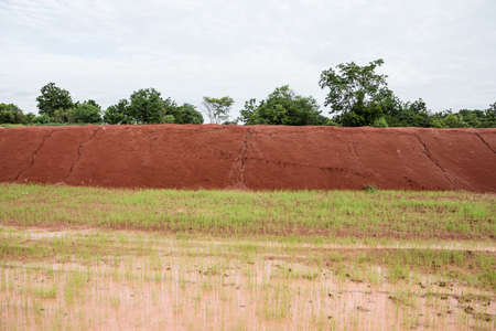 farm pond