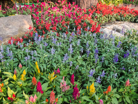 park screenの写真素材