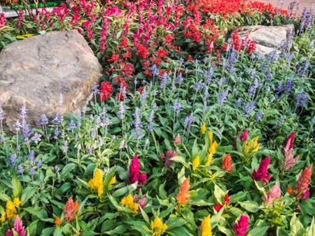 park screenの写真素材