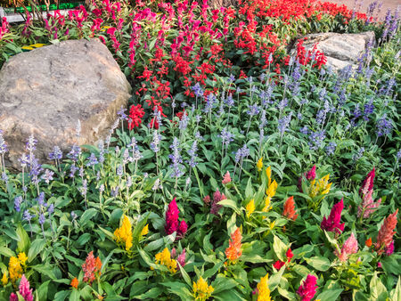 park screenの写真素材