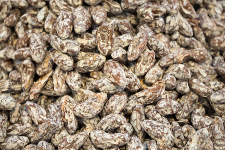 dried fruit