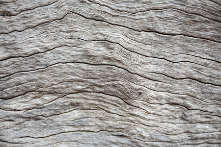 wood textureの写真素材