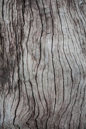 wood backgroundの写真素材