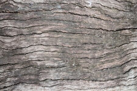 wood backgroundの写真素材