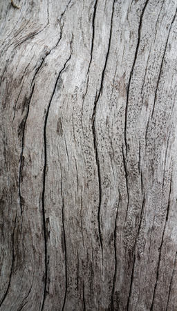 wood backgroundの写真素材