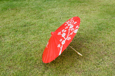 umbrellaの写真素材