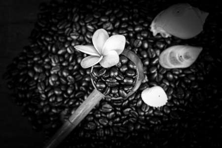 coffee cup and beansの写真素材