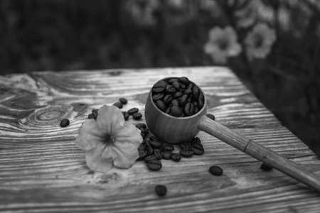 coffee beansの写真素材