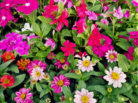 oil painted flowersの写真素材