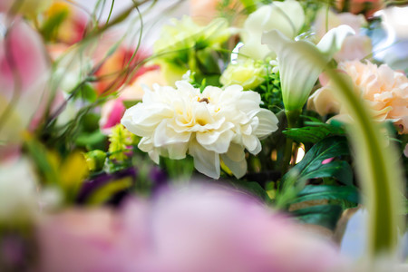 fabric flowerの写真素材