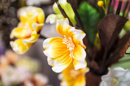 fabric flowerの写真素材