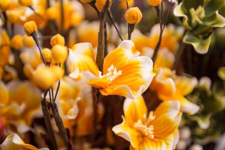 fabric flowerの写真素材