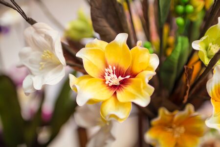 fabric flowerの写真素材