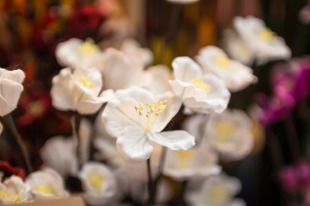 fabric flowerの写真素材