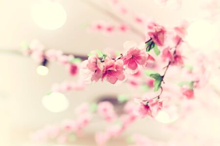 sakura fabric close upの写真素材