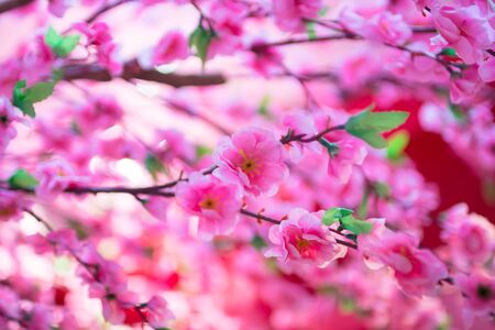 sakura fabric close upの写真素材