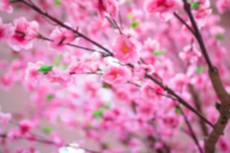 sakura fabric close upの写真素材