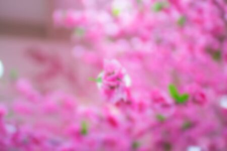 sakura fabric close upの写真素材