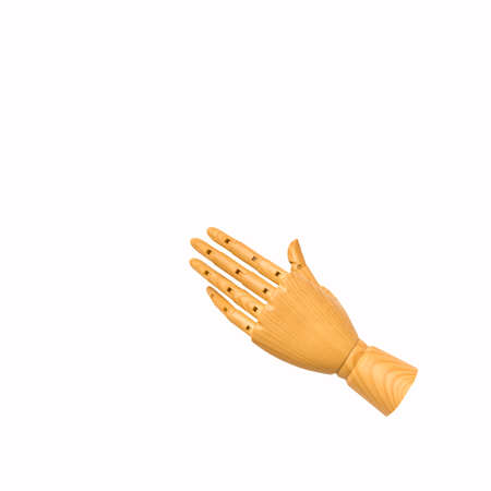 wood hand model