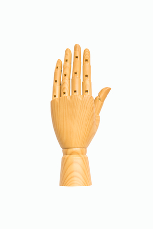 wood hand modelの写真素材