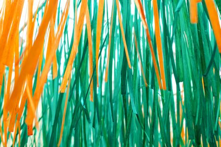 close up of  bamboo stripesの写真素材