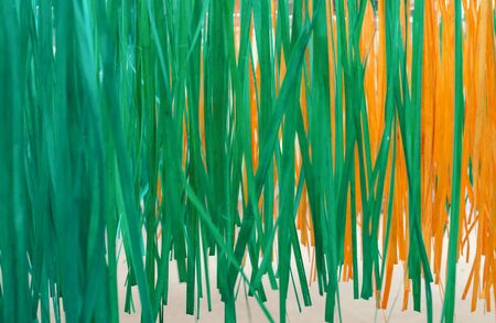 close up of  bamboo stripesの写真素材