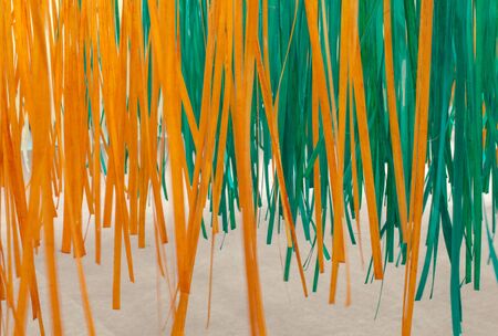 close up of  bamboo stripesの写真素材