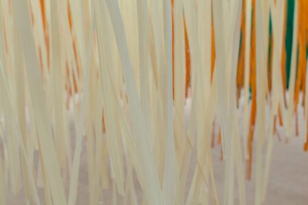 close up of  bamboo stripes