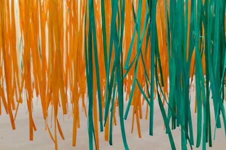 close up of  bamboo stripesの写真素材