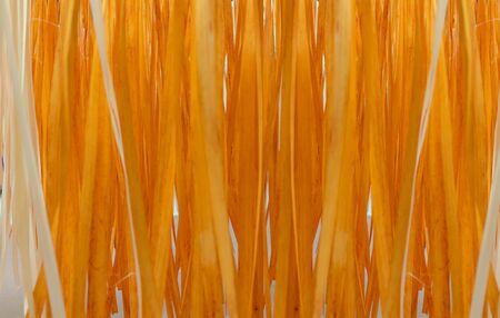 close up of  bamboo stripesの写真素材