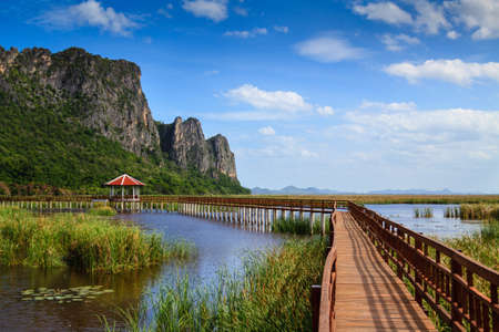Boardwalks on the Lotus lake in the national park, Sam Roi Yod National Park, Thailand の写真素材