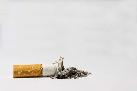 Single cigarette butt with ash on white background