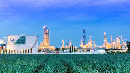 Oil refinery with Pineapple farmのeditorial素材