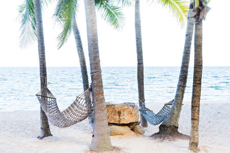 Two hammock between palm trees on tropical beach の写真素材