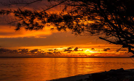 Sunrise in tropical sea with tree and clouds の写真素材
