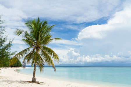 Untouched tropical beachの写真素材
