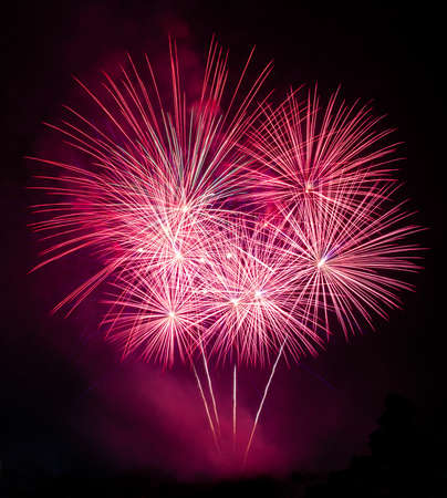 Colorful fireworks on the black backgroundの写真素材