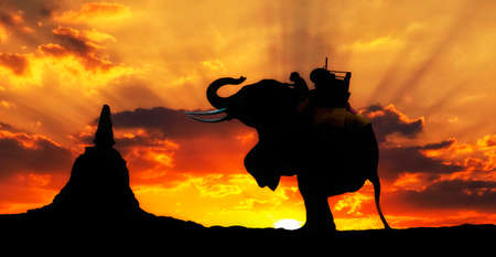 Elephant silhouette in thailandの写真素材