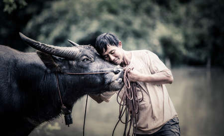 Thai Farmer with buffaloの写真素材