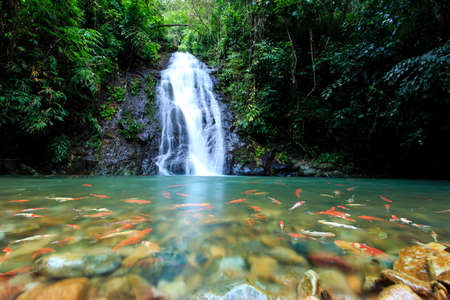 Deep forest Waterfall in Nong Khai, Thailandの写真素材