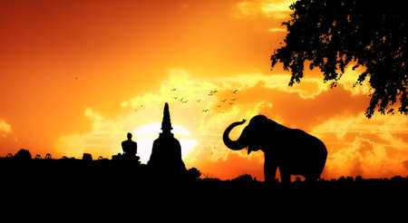 Elephant silhouette in Thailandの写真素材