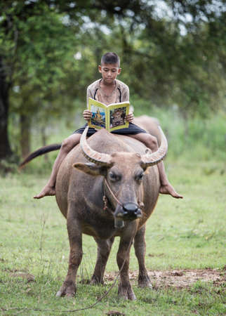 Boy reading book with him buffalo, Thailandの写真素材