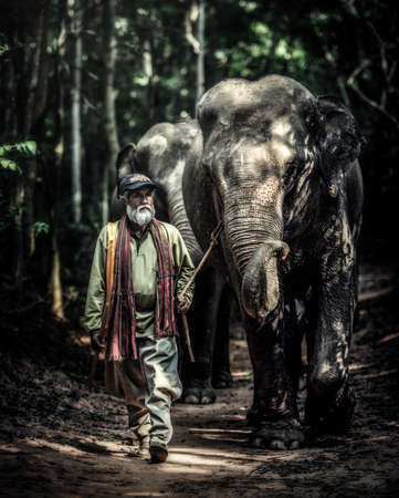 A mahout walking with his elephant to go back home after bathing his elephant at a local lake. Ban Ta Klang is a well-known tourist site in Thailand.のeditorial素材